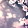 yao